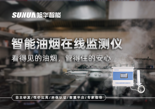 智能油烟在线监测仪：看得见的油烟，管得住的安心