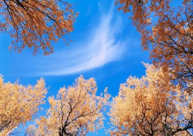 1730893912628034.png 1730893912628034.png